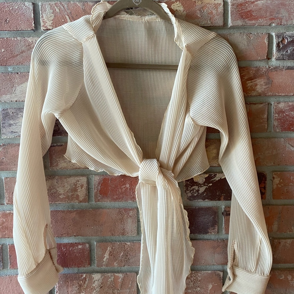 Sheer Accordion Tie-Front Crop Top